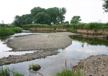 Grüne Keiljungfer Lebensraum